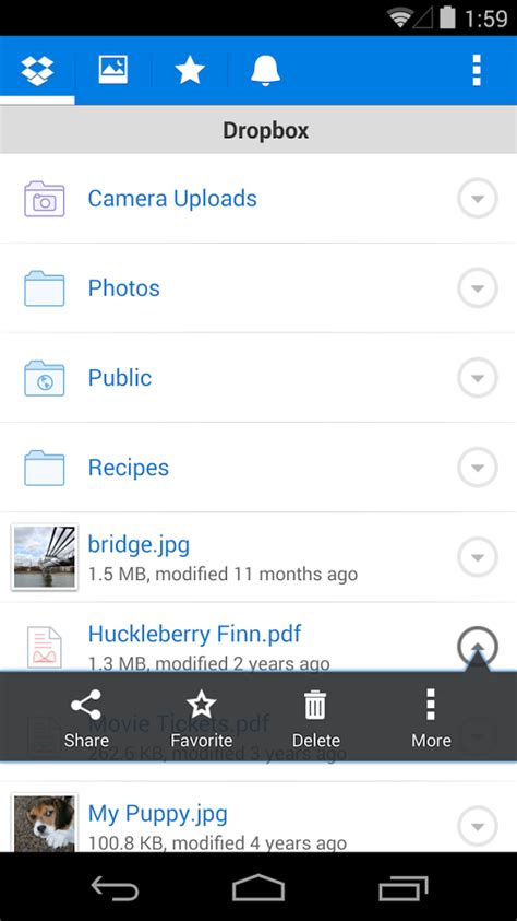 dropbox file extensions