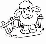 Sheep Coloring Pages Color Print sketch template
