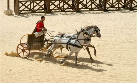 chariot racer jerash jordan roman chariot chariot racing