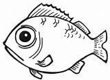 Fish Line Drawings Drawing Easy Clipart Bass Library Tropical Coloring sketch template