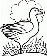 Coloring Pages Colouring Kids Duck Print Color Printable Drawing Duckling Bird Pre School 321coloringpages Activity Animal Clipart Bestcoloringpagesforkids Viewing sketch template