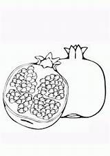 Pomegranate Indiaparenting sketch template