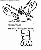 Coloring Crawfish Pages Book sketch template