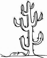 Cactus Coloring Pages Saguaro Drawing Spine Color Clipartmag Print Getcolorings Printable sketch template