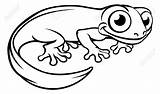 Newt Cartoon Salamander Clipart Coloring Outline Character Illustration Illustrations Stock Clip Royalty Vectors Vector Clipground Lizard Dreamstime Now sketch template