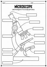 Microscope Worksheet Parts Quiz Printable Worksheeto Diagram Via Blank sketch template