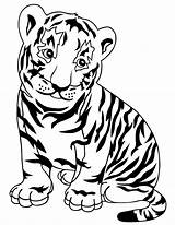 Tiger Coloring Pages Print sketch template