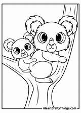 Koalas Iheartcraftythings Pouches Offspring Fact sketch template