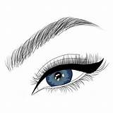 Desenho Sobrancelhas Sobrancelha Molde Olhos Para Desenhar Olho Desing Eye Lashes Care Maquiagem Pasta Escolha sketch template