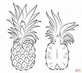 Pineapple Coloring Drawing Pages Section Outline Cross Printable Simple Easy Cute Print Supercoloring Pineapples Getdrawings Paintingvalley sketch template