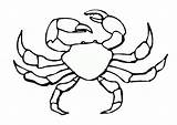 Crab Coloring Pages Simple Easy Realistic Print Color sketch template