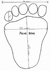 Polar Footprint Paw Tracks Domain Wpclipart Arctic sketch template