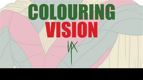 colouring vision youtube