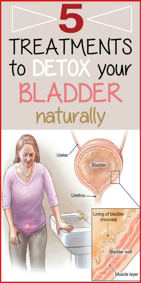 5 Treatments To Detox Your Bladder Naturally Bladder Infection