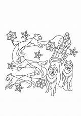 Coloring Dog Sled Pages Printable Color Drawing Getdrawings Popular Coloringpagesonly sketch template
