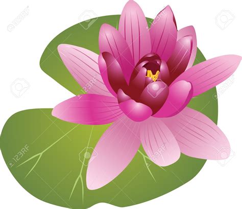 Pink Water Lily Clipart 20 Free Cliparts Download Images