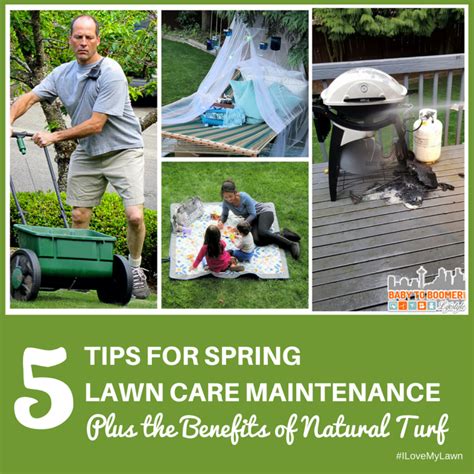 5 Tips For Spring Lawn Care Maintenance Plus The Benefits Of Natural
