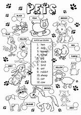Pets Worksheets Esl Printables Worksheet Animals Ingles Printable Farm Para Atividades Em Inglês Colour Wild Fichas Crianças Match Eslprintables Salvo sketch template