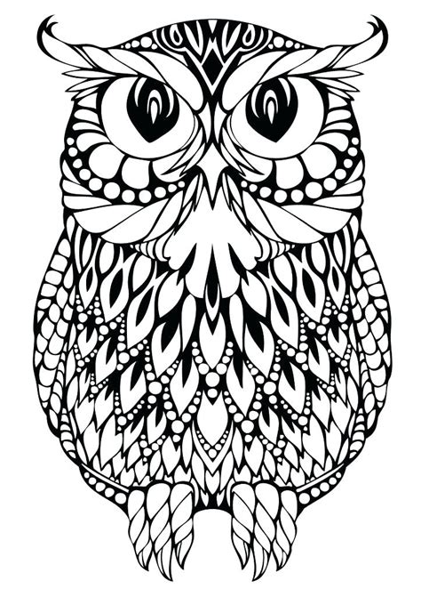 owl coloring pages preschool  getcoloringscom  printable