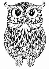 Coloring Owl Pages Preschool Getcolorings sketch template