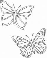 Borboleta Borboletas Mariposas Bigactivities Mariposa Papillons Simples Insects Papillon Atividades Schmetterling Monica Educação Infantil Coloringcity Mur Soloinfantil sketch template