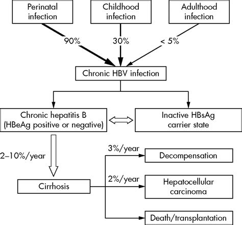 Hepatitis B Virus Hbv Reactivation With Immunosuppressive Therapy In