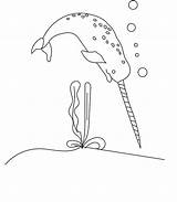 Whale Coloring Narwhal Pages Printable Arctic sketch template