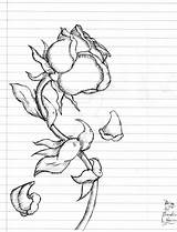 Rose Drawing Dying Poison Beast Beauty Step Drawings Anime Getdrawings Deviantart sketch template