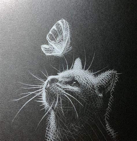 white pencil drawings  black paper daily news