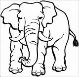 Elephant Coloring Pages Elephants African Angry Animals Line Drawing Kids Safari Print Clipart Children Clipartmag Hi Coloringsky sketch template