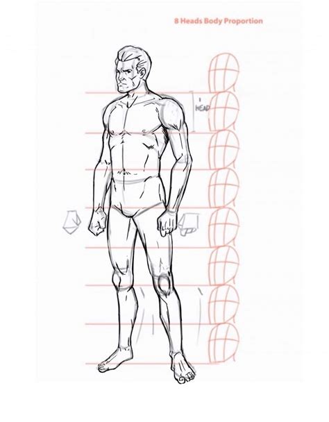 How To Draw The Human Body Step By Step How To Draw A