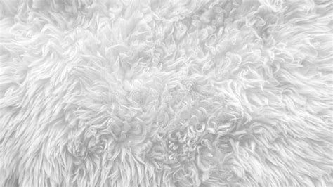 white soft wool texture background seamless cotton wool light natural