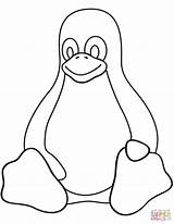 Tux Coloring Pinguin Penguins Linux Zeichenvorlagen Penguin Malmotive Kleurplaat Supercoloring Malvorlagen Tipss sketch template