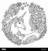 Unicorn Drawing Flowers Sketch Circle Coloring Freehand Magic Beauty Adult Color Vector Composition Tangle Antistress Doodle Elements Alamy sketch template