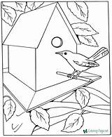 Coloring Pages Printable House Kids Adults Kid Bird Draw Sheets Birds Dementia Colouring Patients Templates Boys Adult Learn Print Easy sketch template