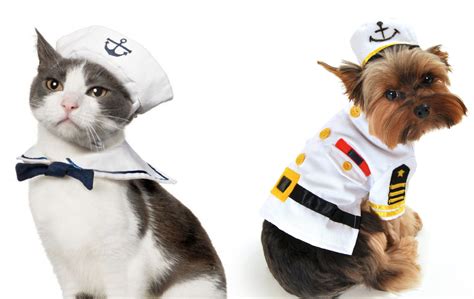 ruff draft adorable pet costumes   puppies kittens halloween
