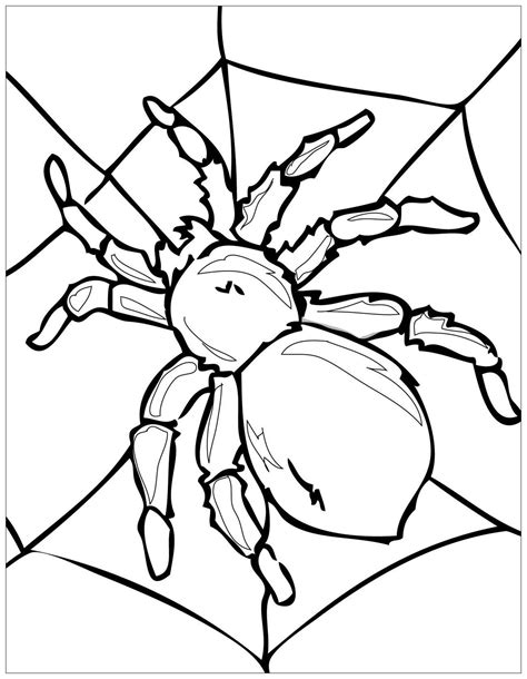 spider insects kids coloring pages