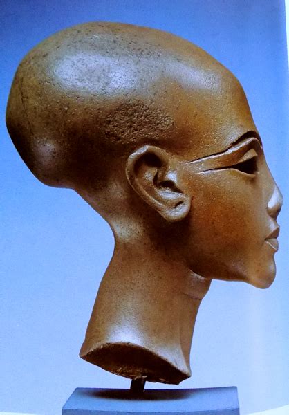Ancient Egypt Amarna Royal Women Akhenaten Nefertiti