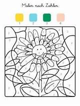 Sunflower Numbers Paint Number Color Coloring Printable Pages sketch template