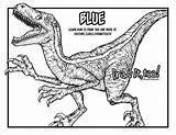 Velociraptor Jurassic Dinosaur Dinosaurs Drawittoo sketch template