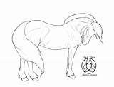Fjord Coloring Lineart Horses Pages Colouring Designlooter Deviantart 690px 75kb Save Drawings sketch template