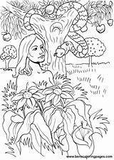 Adam Eve Coloring Eden Garden Story Handout Below Please Print Click sketch template