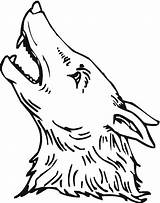 Coyote Coloring Pages Drawing Clipart Easy Template Howling Loon Clipartmag Sketch Draw Webstockreview sketch template