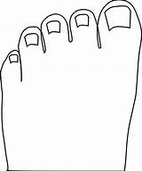 Toes Toe Outline Clipart Foot Clip Drawing Big Toenail Human Cliparts Kaki Body Nail Marshmallow Jari Transparent Clipground Library Svg sketch template