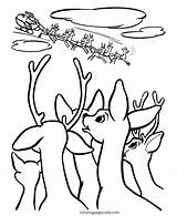 Reindeer Rudolph Nosed Nose Sleigh Bestcoloringpagesforkids sketch template