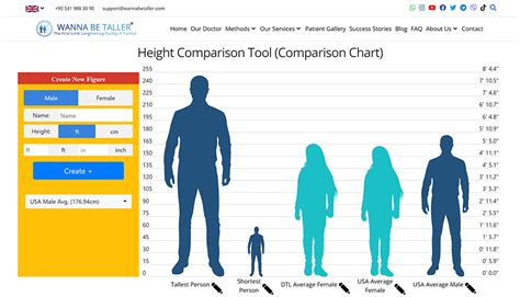height comparison comparing heights visually  chart