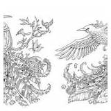 Coloring Animorphia Book Bird Kerby Rosanes sketch template