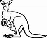 Kangaroo Coloring Zoo Drawing Pages Template Baby Printable Face Kids Getdrawings Wecoloringpage sketch template