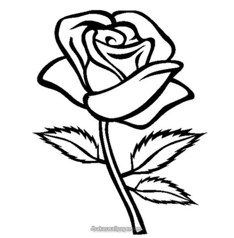printable pictures  roses rose flower coloring pages getcoloringpages