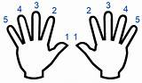 Left Right Hand Fingering Scale Hands Major Scales Piano Keyboard Play Musical Fingers Number Both Beginner System Transparent Thumbs sketch template